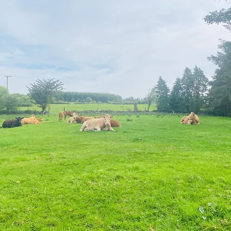 Sage - Self Catering Gort