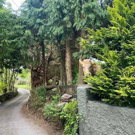 Casa de Férias Sage - Self Catering *