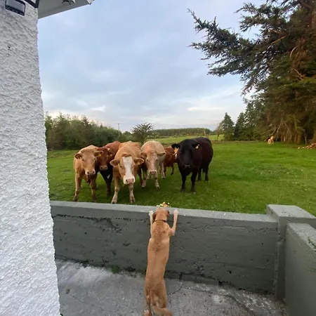 Sage - Self Catering Casa de Férias Gort