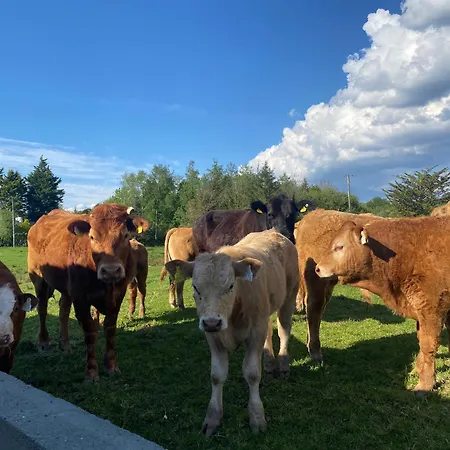 Sage - Self Catering Gort