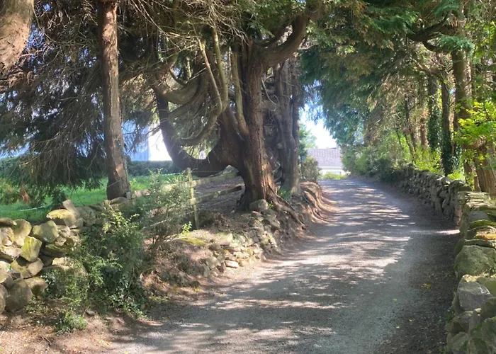 Sage - Self Catering *