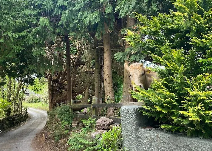 Hébergement de vacances Sage - Self Catering *