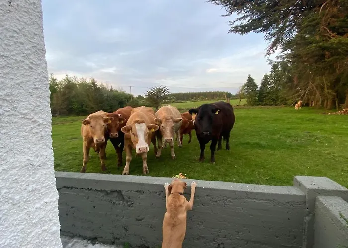 Sage - Self Catering Hébergement de vacances Gort