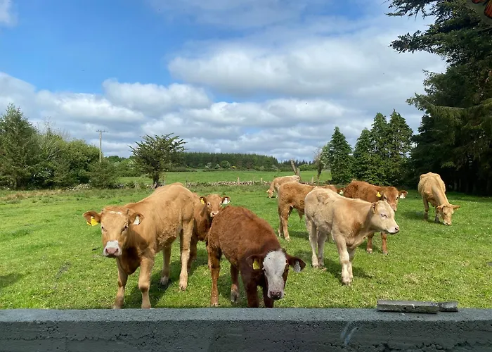 Sage - Self Catering Hébergement de vacances