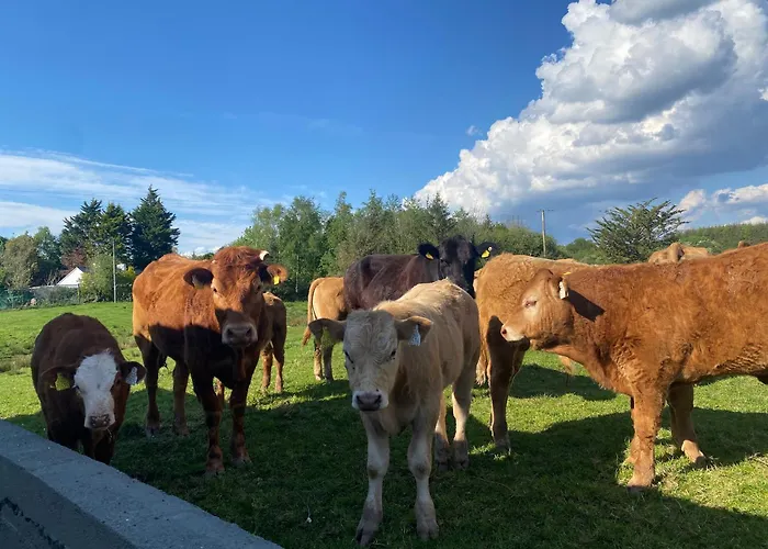 Sage - Self Catering Gort